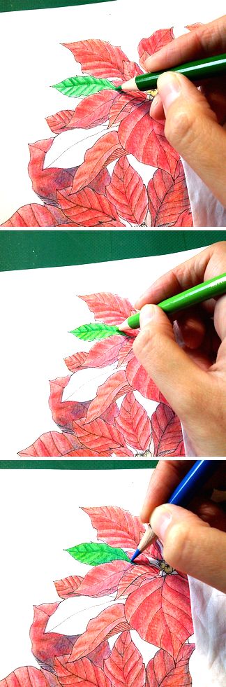 f:id:tamarumo:20180109164450j:plain