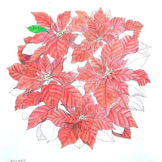 f:id:tamarumo:20180109164744j:plain