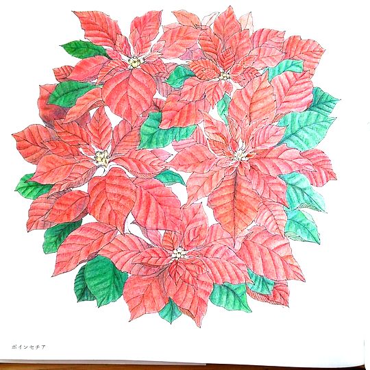 f:id:tamarumo:20180109164901j:plain