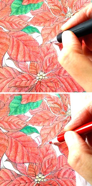 f:id:tamarumo:20180109165110j:plain