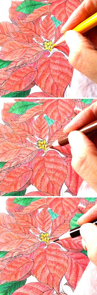 f:id:tamarumo:20180109165222j:plain