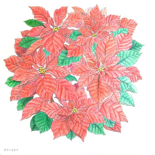 f:id:tamarumo:20180109165449j:plain