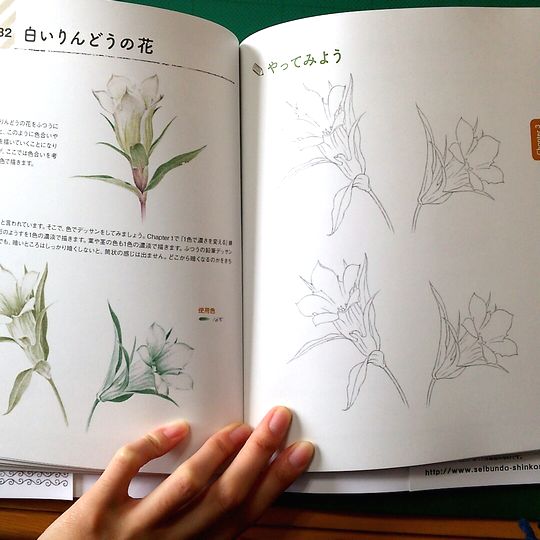 f:id:tamarumo:20180129145441j:plain