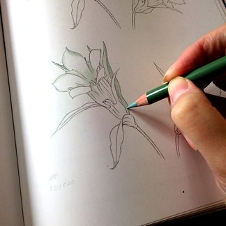 f:id:tamarumo:20180129145723j:plain