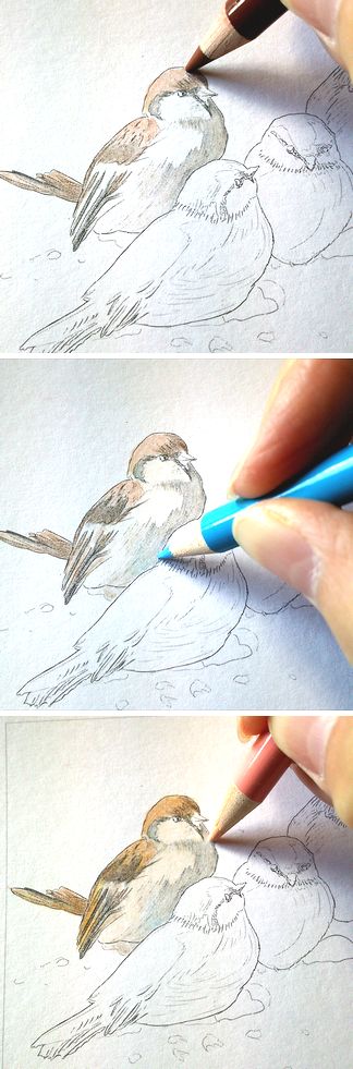 f:id:tamarumo:20180208163931j:plain