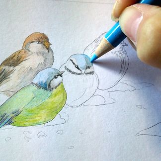 f:id:tamarumo:20180210111310j:plain