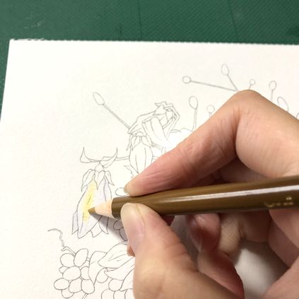 f:id:tamarumo:20181015122925j:plain