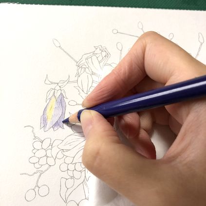 f:id:tamarumo:20181015123024j:plain