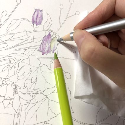 f:id:tamarumo:20181015123923j:plain