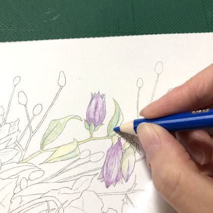 f:id:tamarumo:20181015125022j:plain