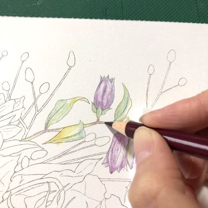 f:id:tamarumo:20181015125150j:plain