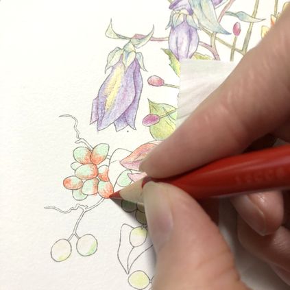 f:id:tamarumo:20181027161959j:plain