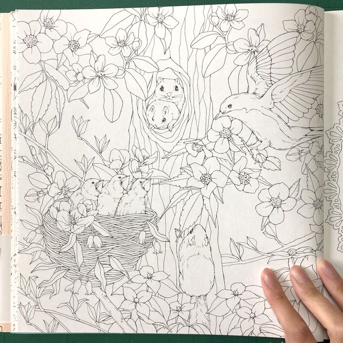 f:id:tamarumo:20190318161608j:plain