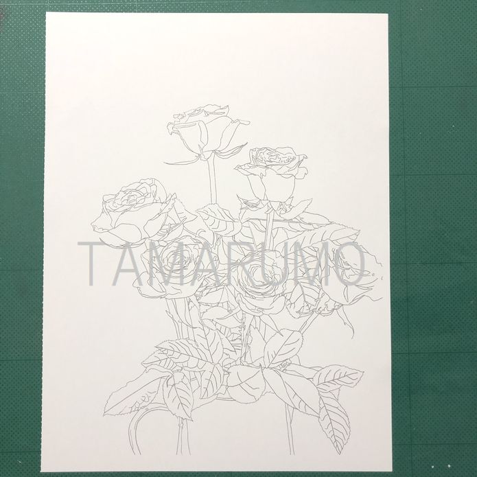 f:id:tamarumo:20190601184149j:plain