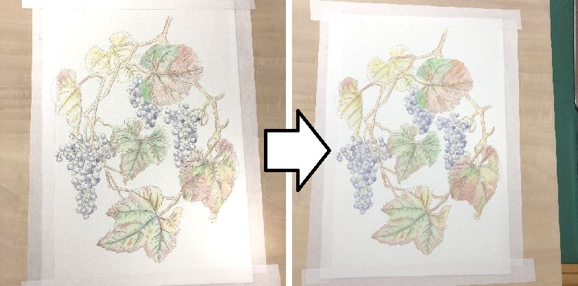 f:id:tamarumo:20191016101726j:plain