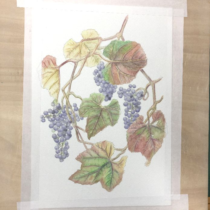 f:id:tamarumo:20191016102239j:plain