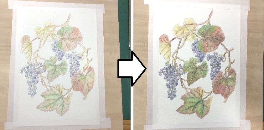 f:id:tamarumo:20191016102427j:plain