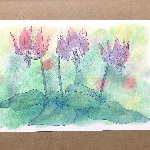 絵画「森はカタクリの花盛り」　水彩画 水彩画 風景画「森はカタクリの花盛り」 真作