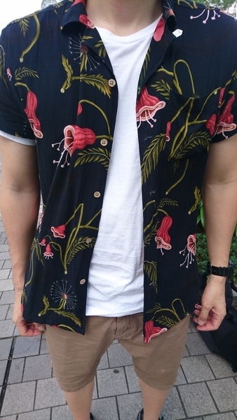 f:id:tamasaka:20190728170521j:plain