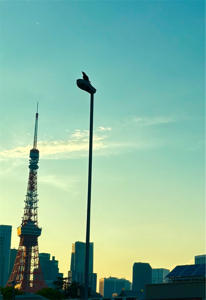f:id:tamasapuri:20260621214000j:image f:id:tamasapuri:20260621214000j:image