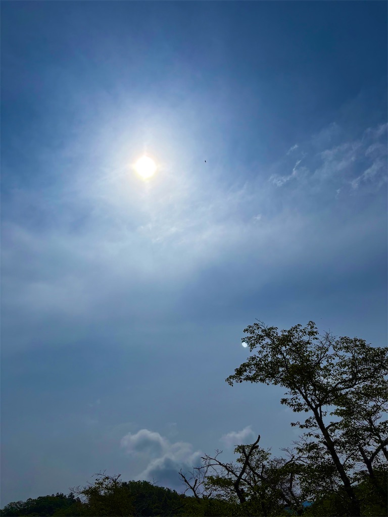 f:id:tamasapuri:20260712193454j:image f:id:tamasapuri:20260712193454j:image