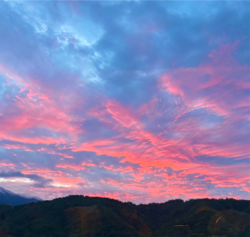 f:id:tamasapuri:20260721212532j:image