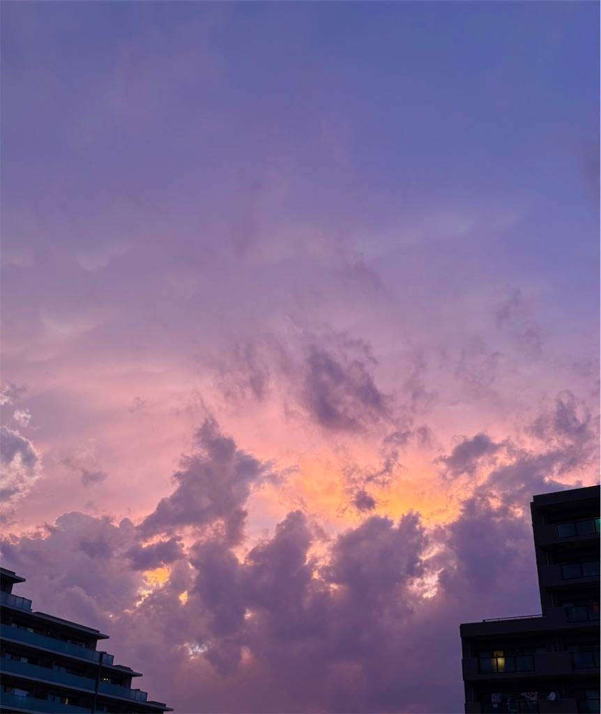 f:id:tamasapuri:20260726194551j:image