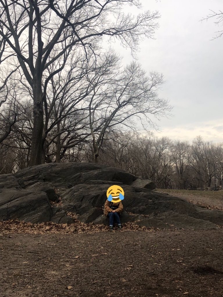 f:id:tamasiro10:20200411191539j:image