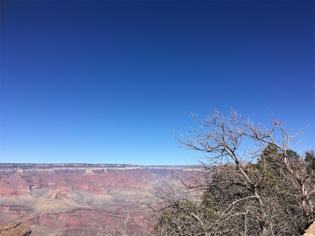 f:id:tamasiro10:20200621234520j:image