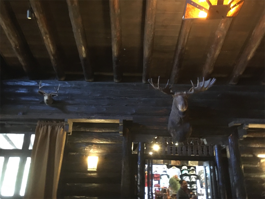 f:id:tamasiro10:20200621234632j:image