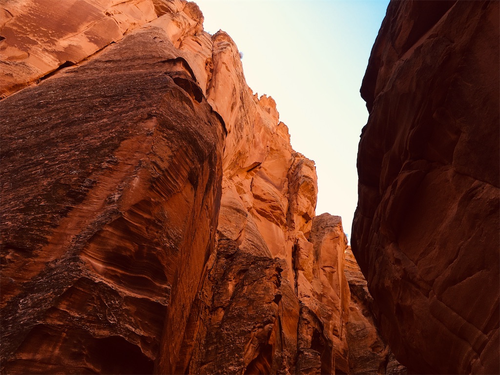 f:id:tamasiro10:20200621235003j:image