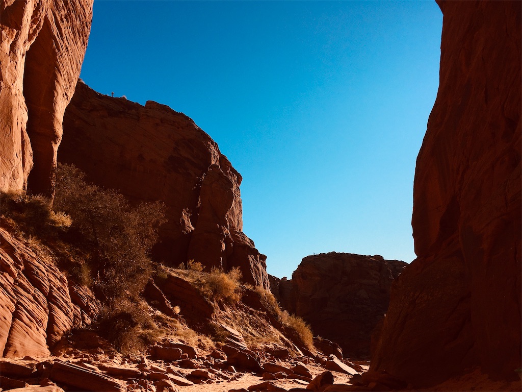 f:id:tamasiro10:20200621235015j:image