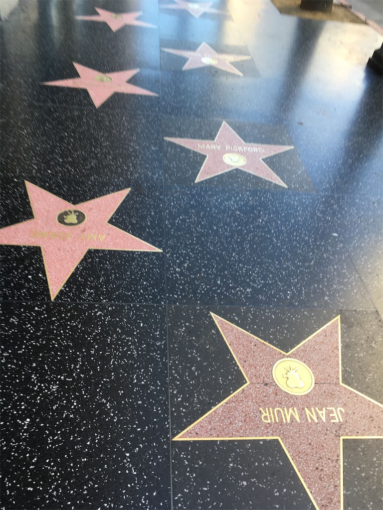 f:id:tamasiro10:20200622000032j:image