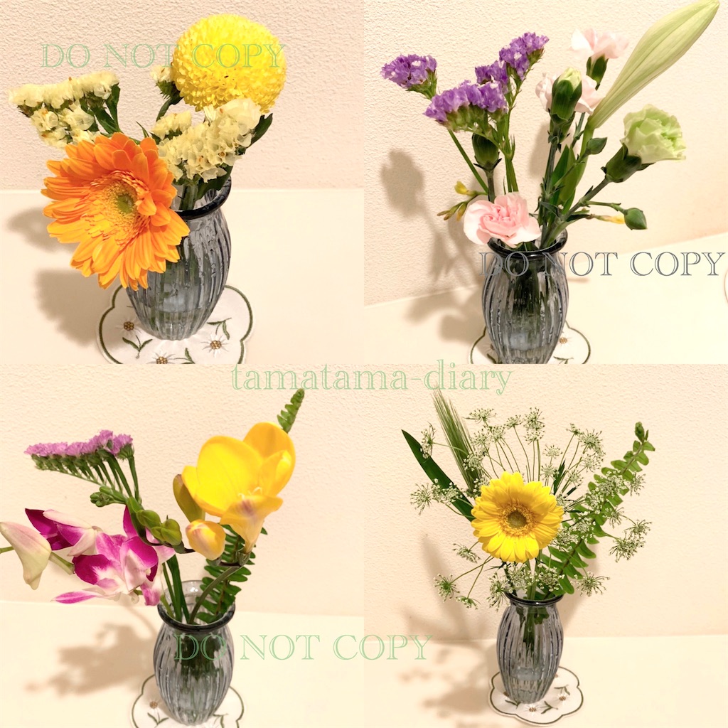 f:id:tamatama-diary:20200627022723j:image f:id:tamatama-diary:20200627022723j:image