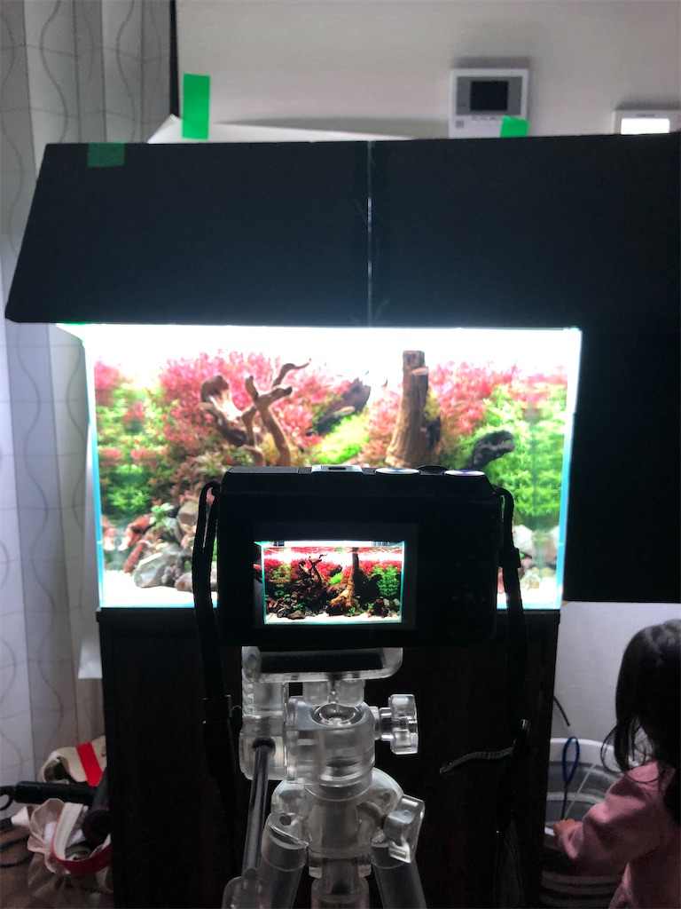 f:id:tamatsux:20221005040817j:image f:id:tamatsux:20221005040817j:image