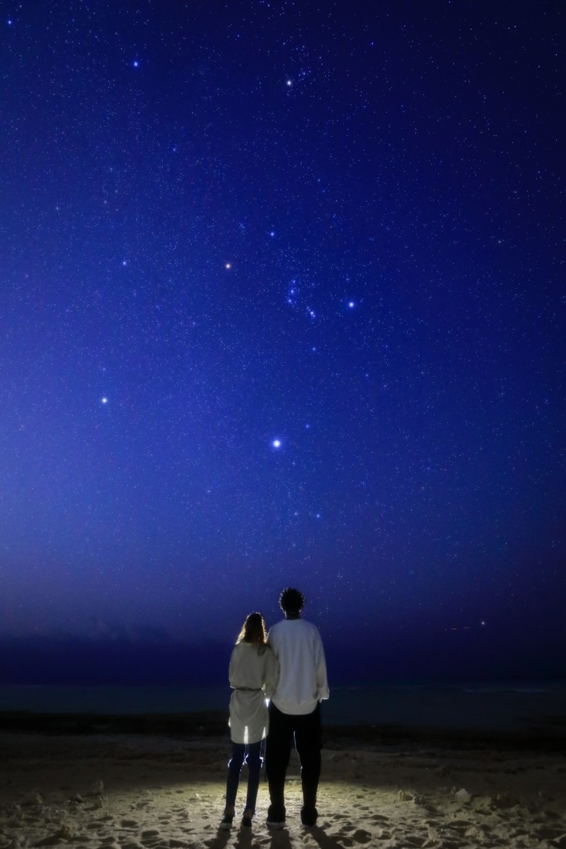 f:id:tamax238:20190315182133j:plain f:id:tamax238:20190315182133j:plain