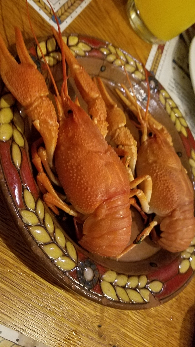f:id:tamaya523:20190830135827j:plain