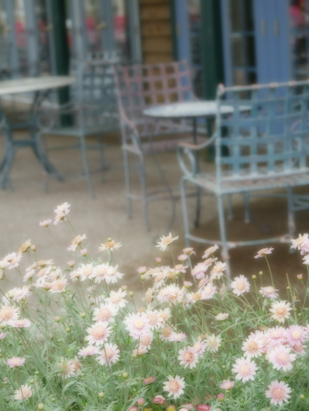 f:id:tamayoshi:20150803212730j:plain f:id:tamayoshi:20150803212730j:plain