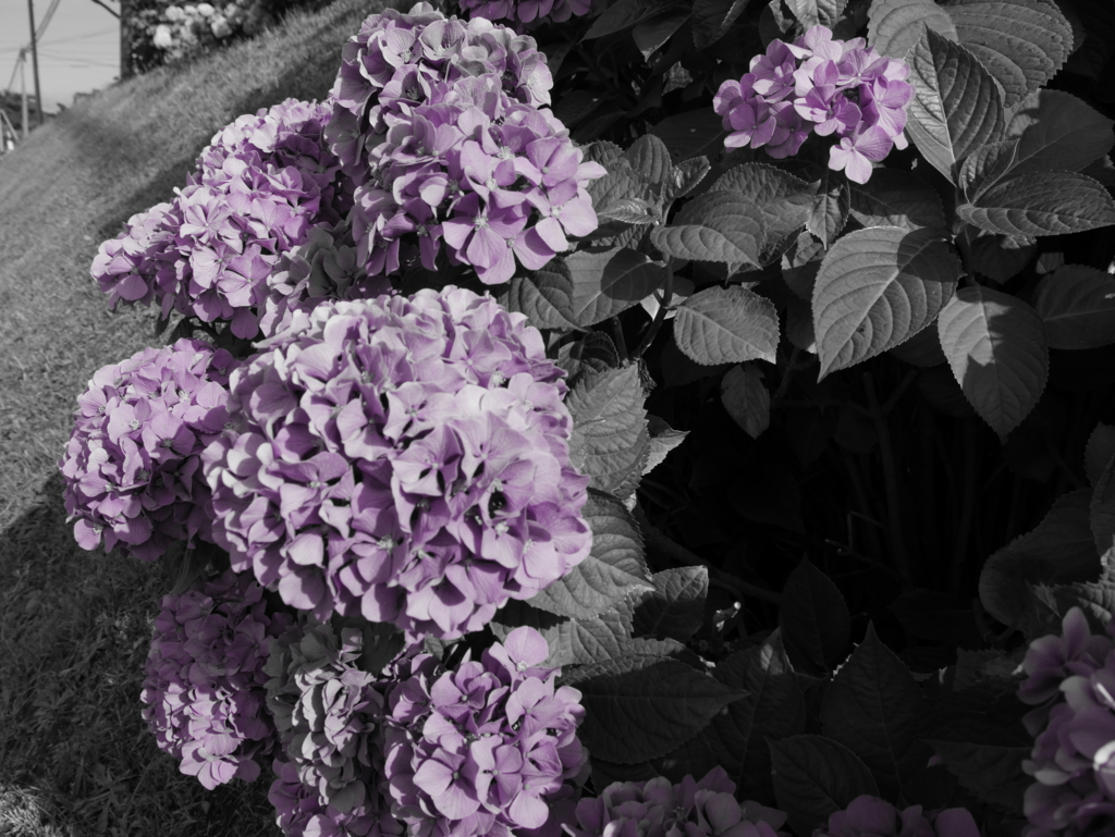 f:id:tamayoshi:20150810141234j:plain f:id:tamayoshi:20150810141234j:plain