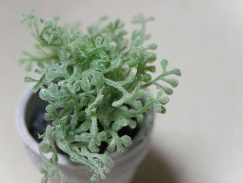 f:id:tamayoshi:20151206212800j:plain f:id:tamayoshi:20151206212800j:plain