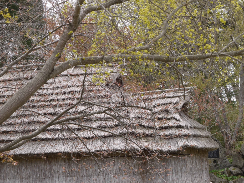 f:id:tamayoshi:20151220220726j:plain