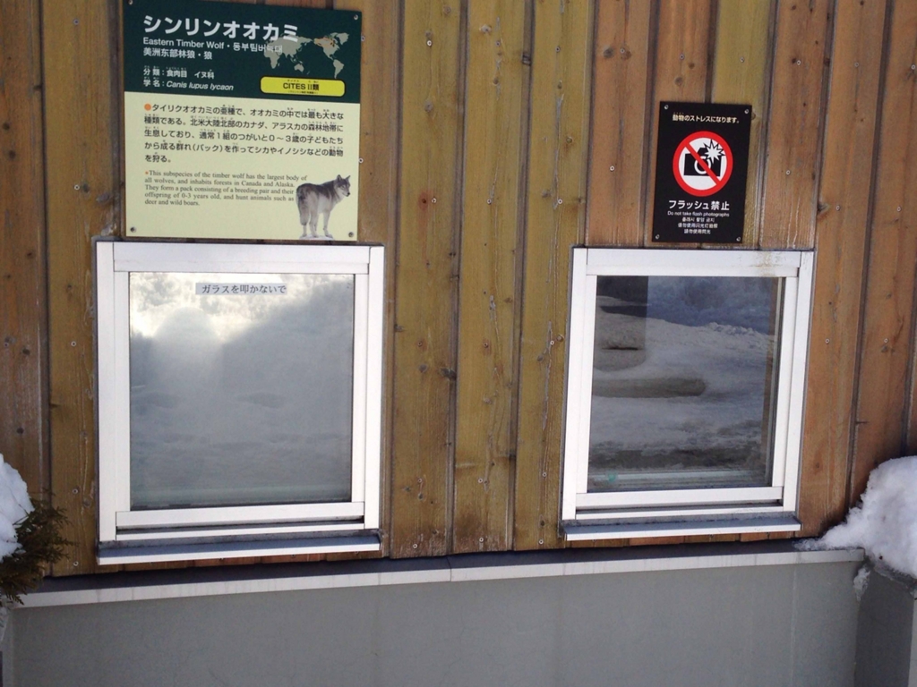 f:id:tamayoshi:20160309223543j:plain f:id:tamayoshi:20160309223543j:plain