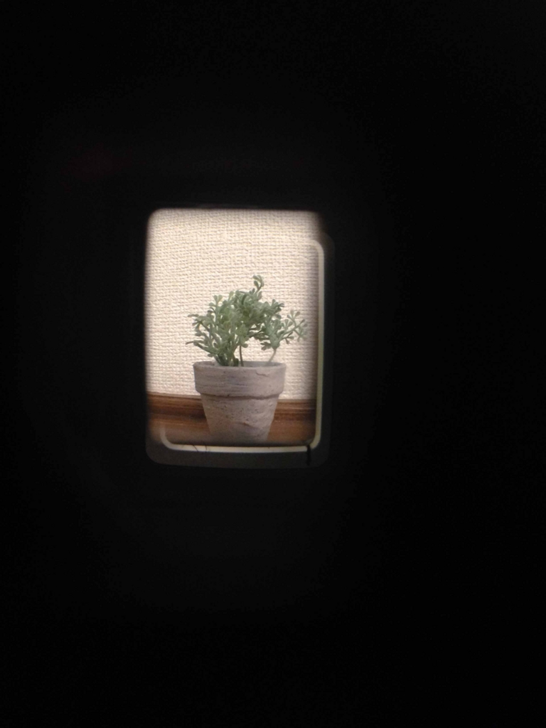 f:id:tamayoshi:20160420220218j:plain f:id:tamayoshi:20160420220218j:plain