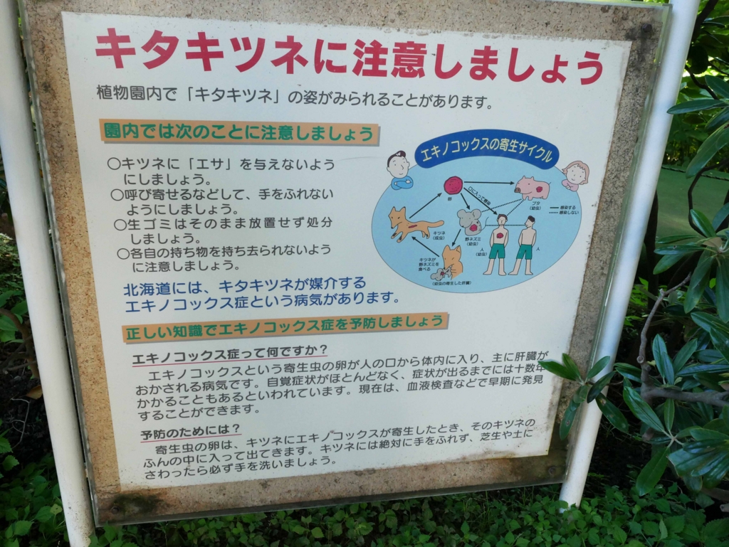 fidtamayoshi20160815230101jplain