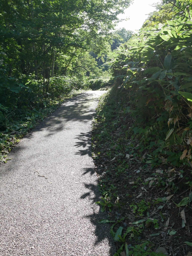 f:id:tamayoshi:20160907191926j:plain