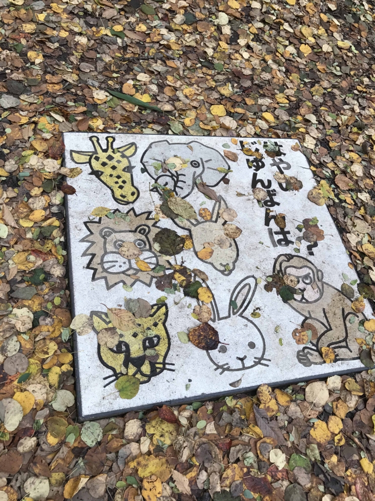 f:id:tamayoshi:20161022200306j:plain