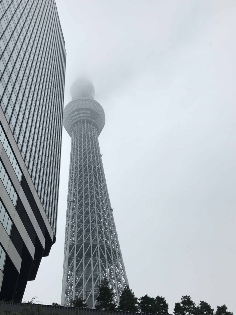 f:id:tamayoshi:20161121194803j:plain f:id:tamayoshi:20161121194803j:plain