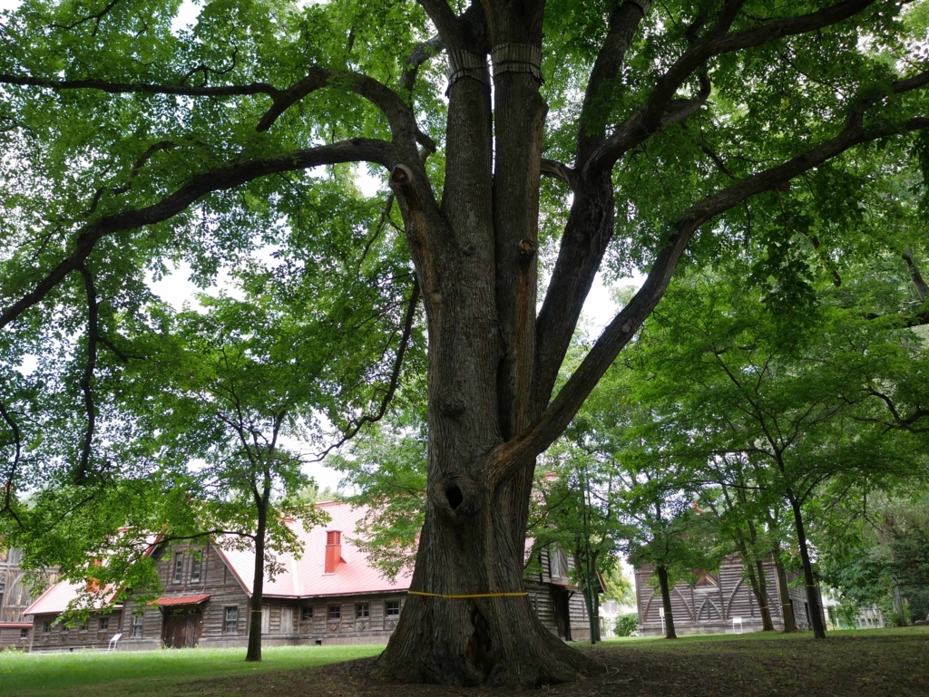 f:id:tamayoshi:20170909160934j:plain