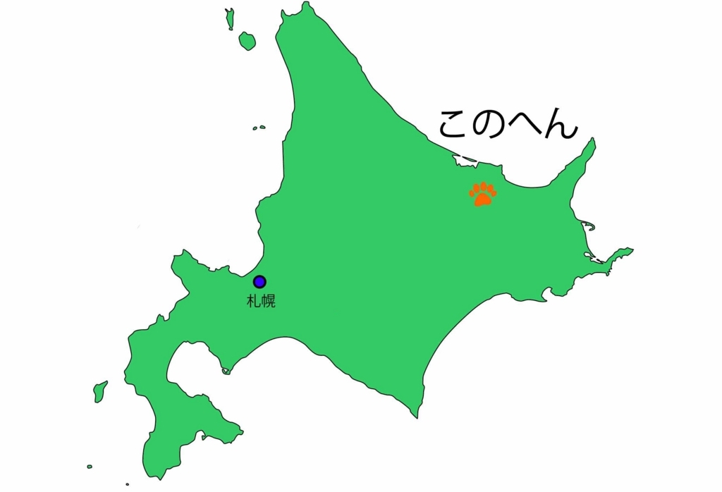 f:id:tamayoshi:20180603112244j:plain