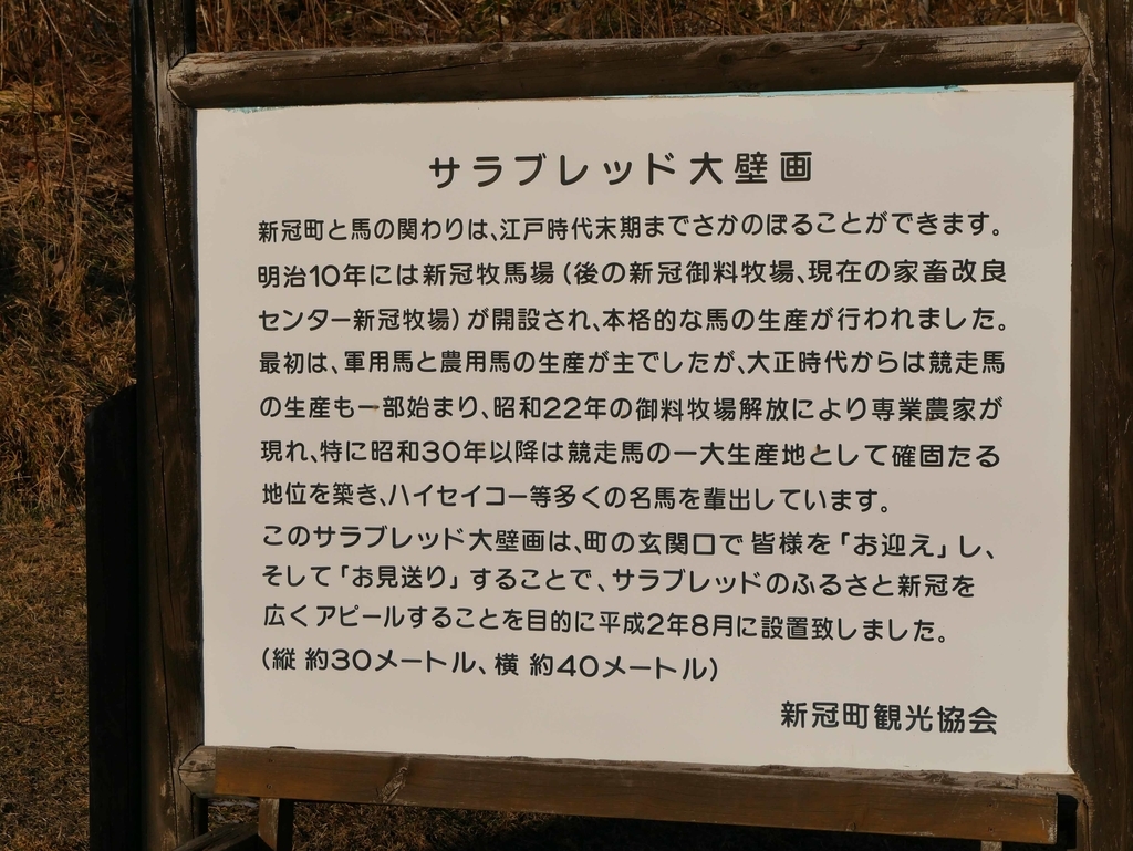 f:id:tamayoshi:20190122205127j:plain